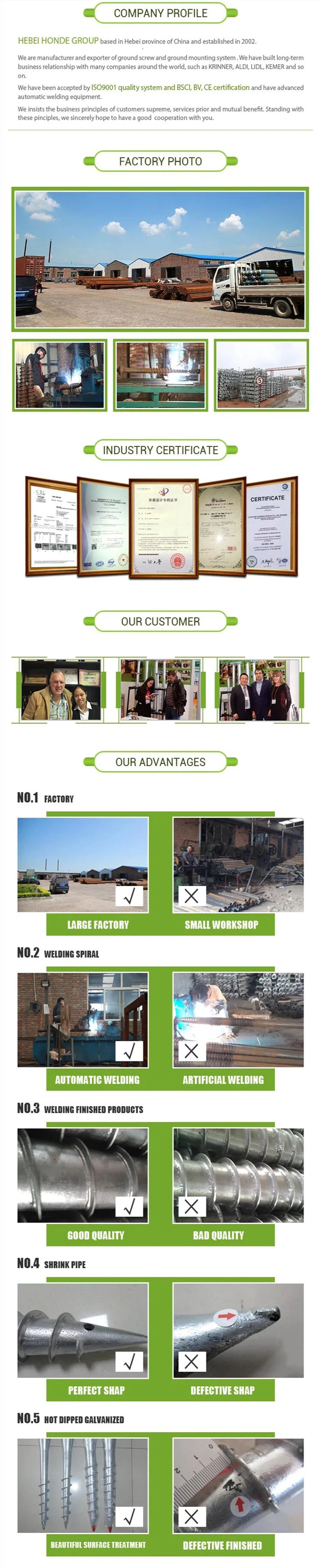 Company Info Company Info