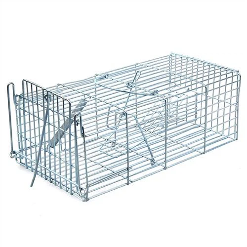 Rat Live Catch Cage
