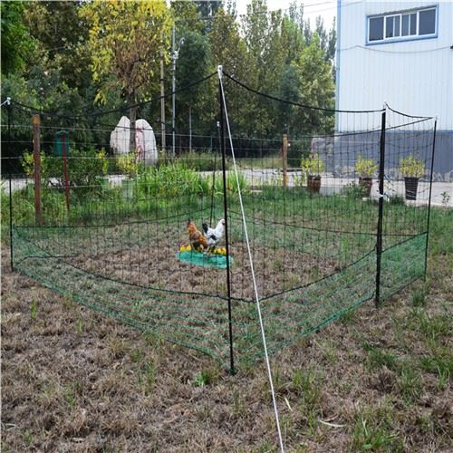 Quail Farm Net